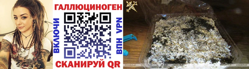 Псилоцибиновые грибы прущие грибы  купить наркотики сайты  Микунь 