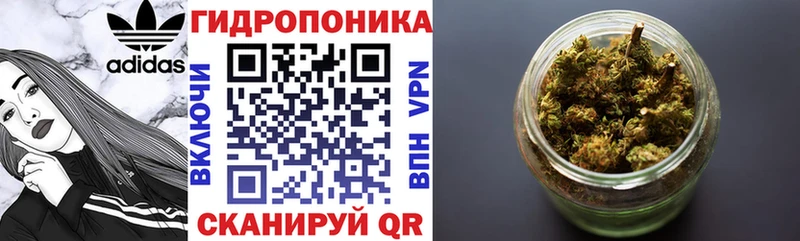 Бошки марихуана ГИДРОПОН  магазин продажи наркотиков  мега зеркало  Микунь 